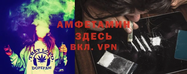 стаф Алексин