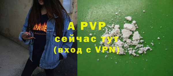 гашик Нефтекумск