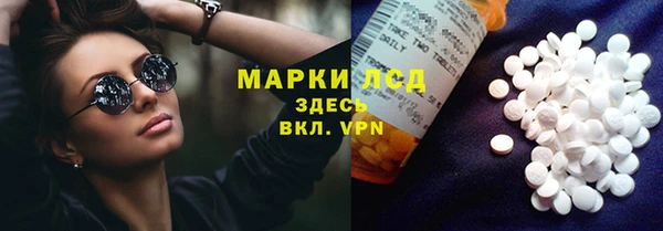 сатива Алзамай