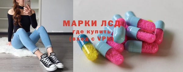 сатива Алзамай