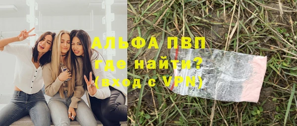 стаф Алексин
