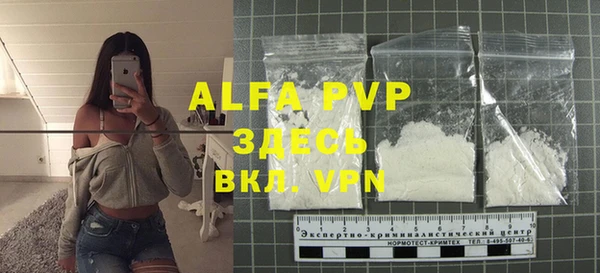 стаф Алексин